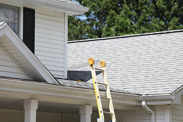 Professional Siding in Helena Flats, MT